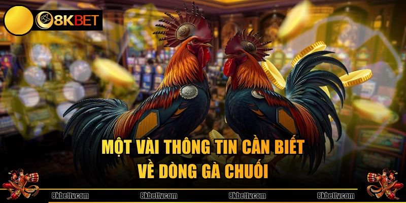 Một vài thông tin cần biết về dòng gà chuối